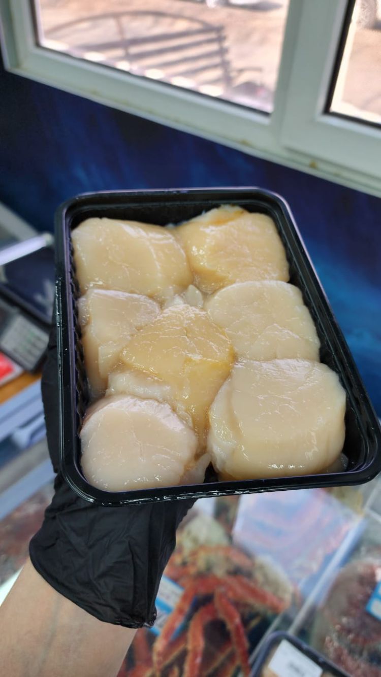 Морской гребешок
