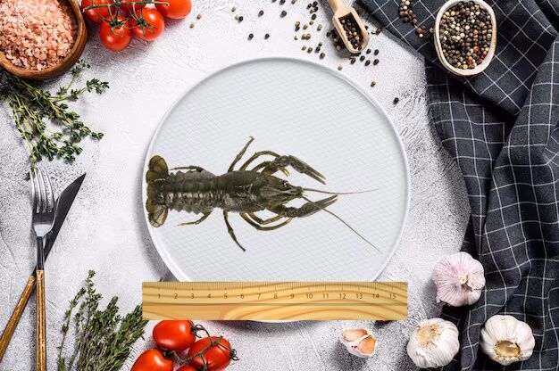 Рак крупный живой